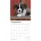 Boxer Puppies | 2026 12 x 24 Inch (Hanging) Monthly Square Wall Calendar | Plastic-Free
